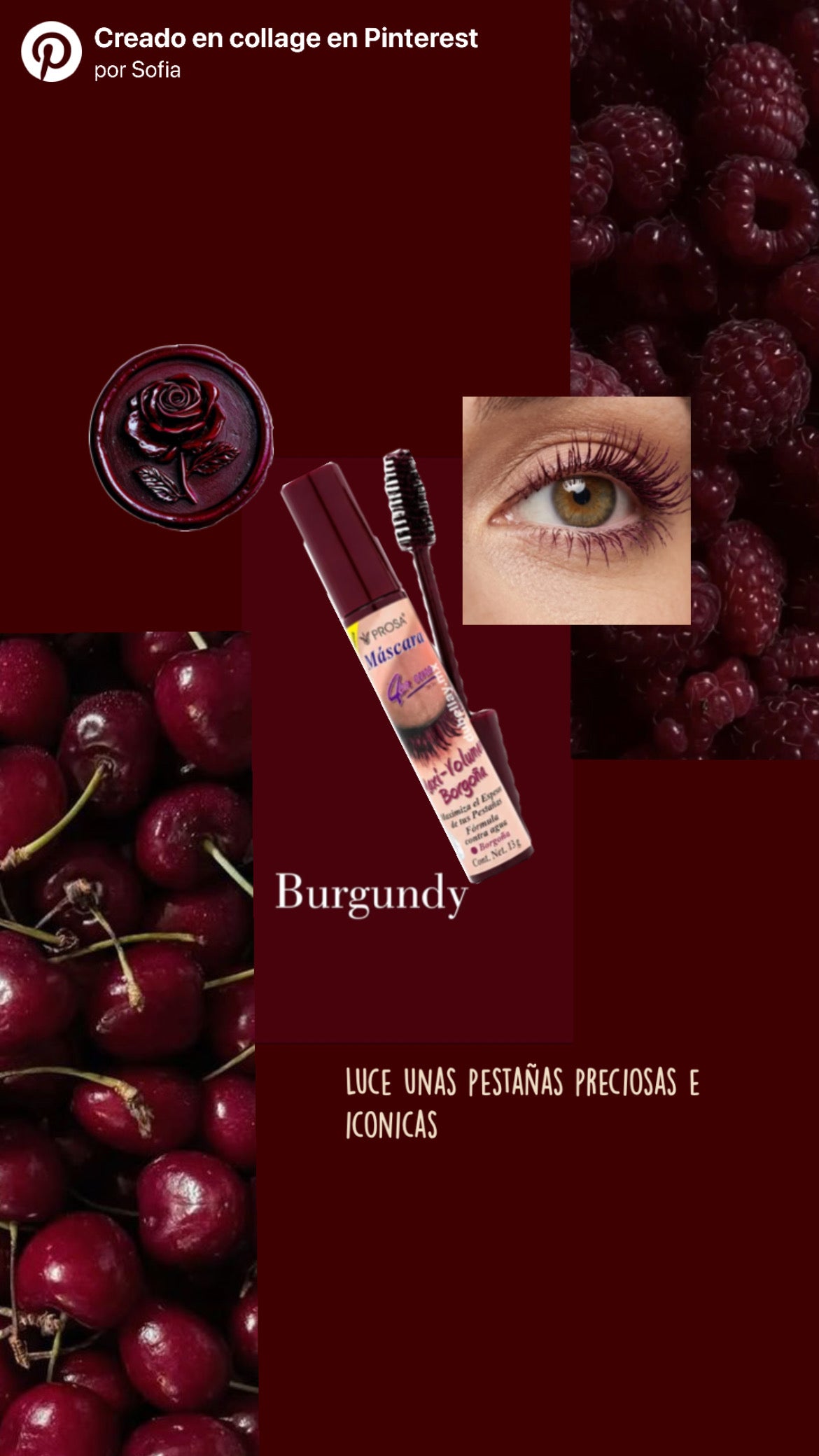 Mascara Prosa Borgoña