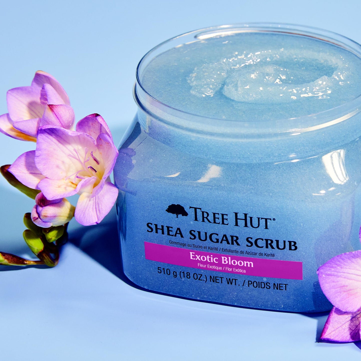 Shea Sugar Scrub Tree Hut